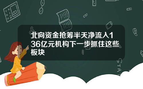 北向资金抢筹半天净流入136亿元机构下一步抓住这些板块