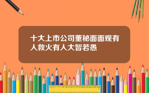 十大上市公司董秘面面观有人救火有人大智若愚