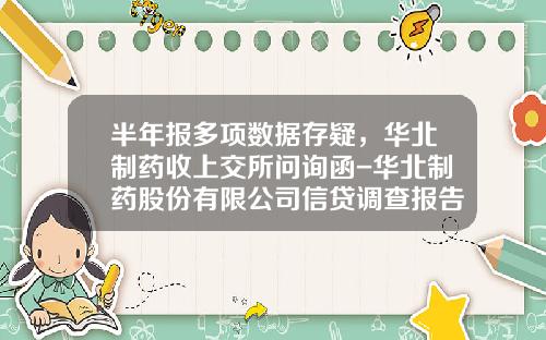 半年报多项数据存疑，华北制药收上交所问询函-华北制药股份有限公司信贷调查报告
