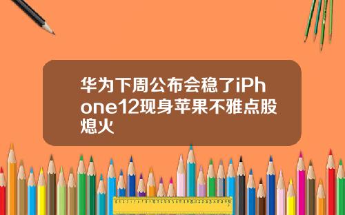 华为下周公布会稳了iPhone12现身苹果不雅点股熄火