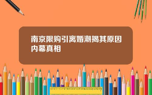 南京限购引离婚潮揭其原因内幕真相