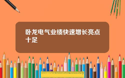 卧龙电气业绩快速增长亮点十足