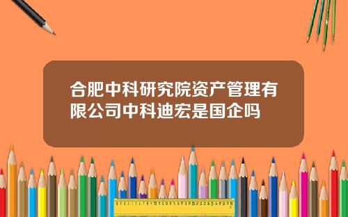 合肥中科研究院资产管理有限公司中科迪宏是国企吗