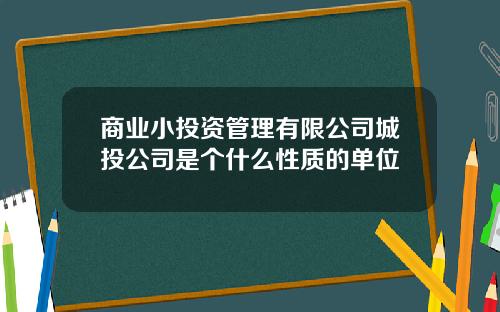 商业小投资管理有限公司城投公司是个什么性质的单位