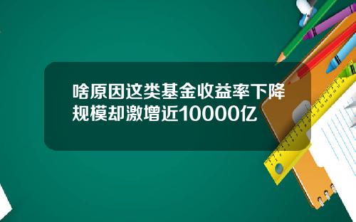 啥原因这类基金收益率下降规模却激增近10000亿