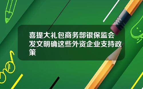 喜提大礼包商务部银保监会发文明确这些外资企业支持政策