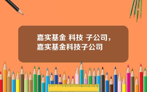 嘉实基金 科技 子公司，嘉实基金科技子公司