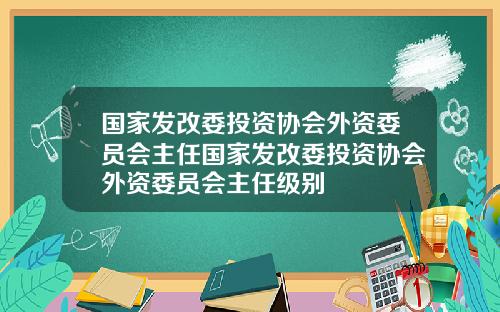 国家发改委投资协会外资委员会主任国家发改委投资协会外资委员会主任级别
