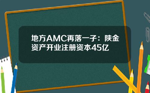 地方AMC再落一子：陕金资产开业注册资本45亿