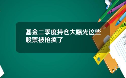 基金二季度持仓大曝光这些股票被抢疯了
