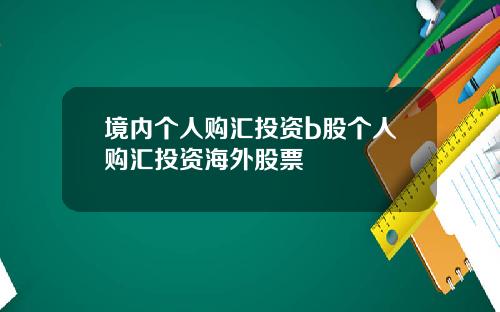 境内个人购汇投资b股个人购汇投资海外股票