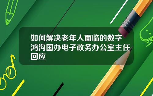 如何解决老年人面临的数字鸿沟国办电子政务办公室主任回应