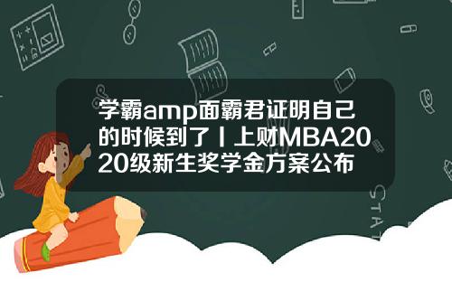 学霸amp面霸君证明自己的时候到了丨上财MBA2020级新生奖学金方案公布