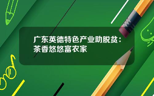 广东英德特色产业助脱贫：茶香悠悠富农家
