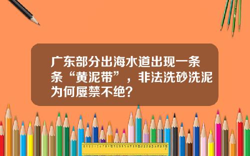 广东部分出海水道出现一条条“黄泥带”，非法洗砂洗泥为何屡禁不绝？