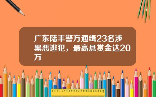 广东陆丰警方通缉23名涉黑恶逃犯，最高悬赏金达20万