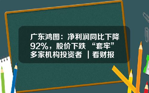 广东鸿图：净利润同比下降92%，股价下跌 “套牢”多家机构投资者 ｜看财报