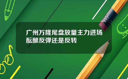 广州万隆尾盘放量主力进场酝酿反弹还是反转