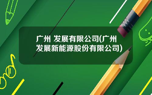 广州 发展有限公司(广州发展新能源股份有限公司)