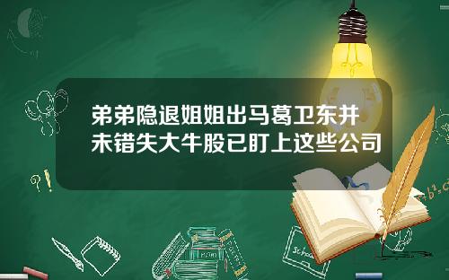 弟弟隐退姐姐出马葛卫东并未错失大牛股已盯上这些公司