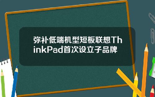弥补低端机型短板联想ThinkPad首次设立子品牌