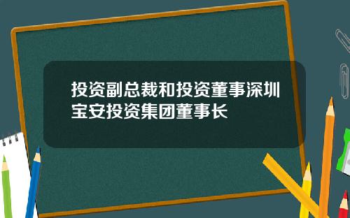投资副总裁和投资董事深圳宝安投资集团董事长