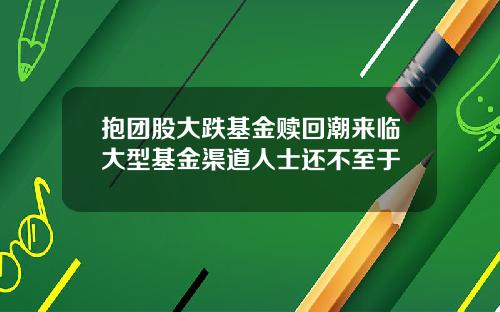抱团股大跌基金赎回潮来临大型基金渠道人士还不至于