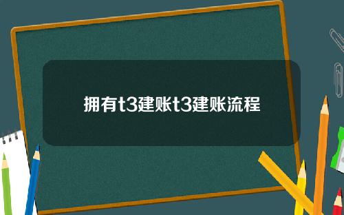 拥有t3建账t3建账流程