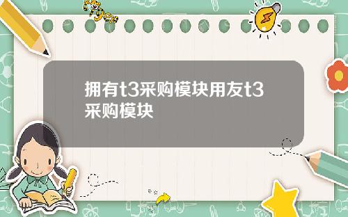 拥有t3采购模块用友t3采购模块