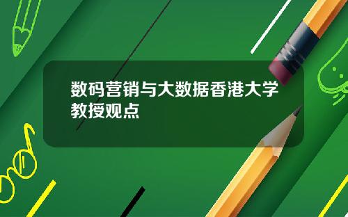 数码营销与大数据香港大学教授观点