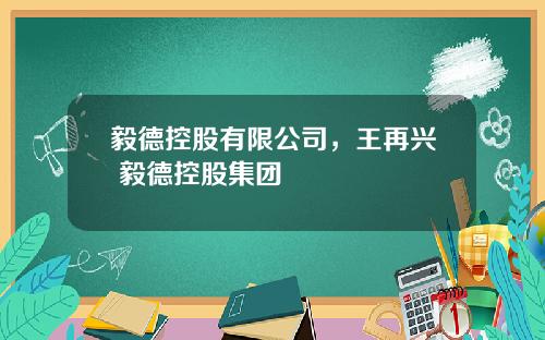 毅德控股有限公司，王再兴 毅德控股集团