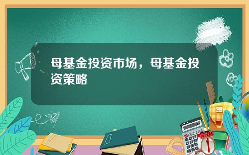 母基金投资市场，母基金投资策略