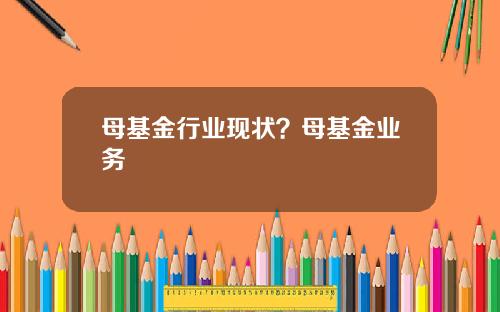 母基金行业现状？母基金业务