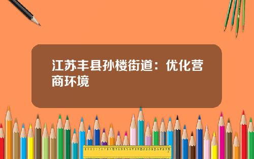 江苏丰县孙楼街道：优化营商环境