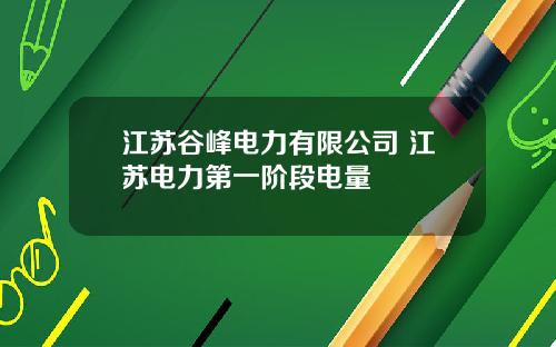 江苏谷峰电力有限公司 江苏电力第一阶段电量