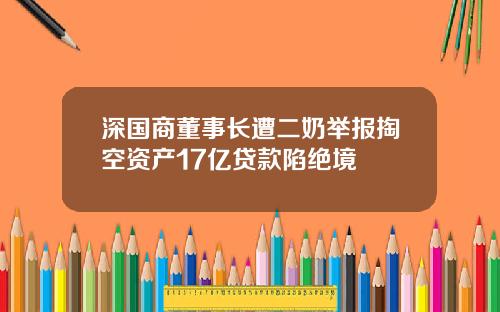 深国商董事长遭二奶举报掏空资产17亿贷款陷绝境