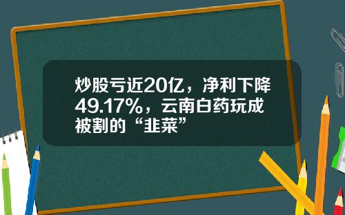 炒股亏近20亿，净利下降49.17%，云南白药玩成被割的“韭菜”