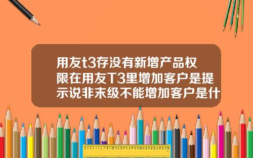 用友t3存没有新增产品权限在用友T3里增加客户是提示说非末级不能增加客户是什么原因