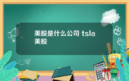 美股是什么公司 tsla美股