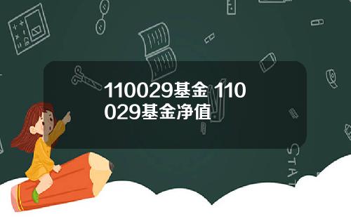 110029基金 110029基金净值