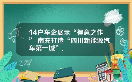 14户车企展示“得意之作” 南充打造“四川新能源汽车第一城”.