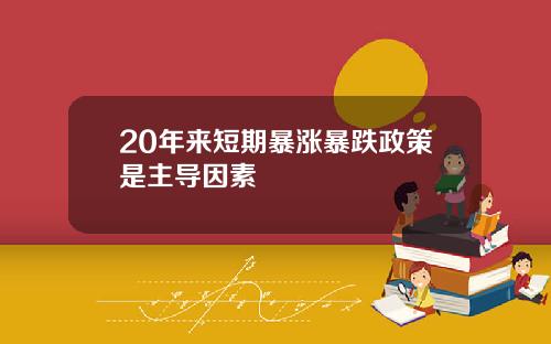 20年来短期暴涨暴跌政策是主导因素