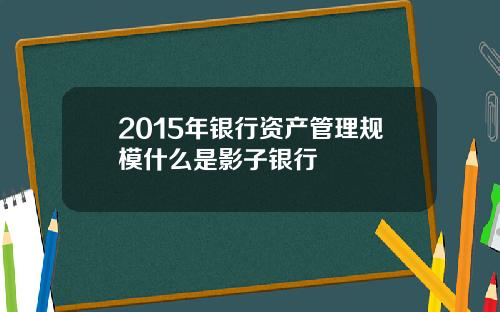 2015年银行资产管理规模什么是影子银行