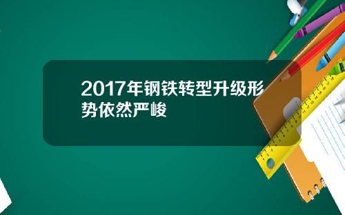 2017年钢铁转型升级形势依然严峻