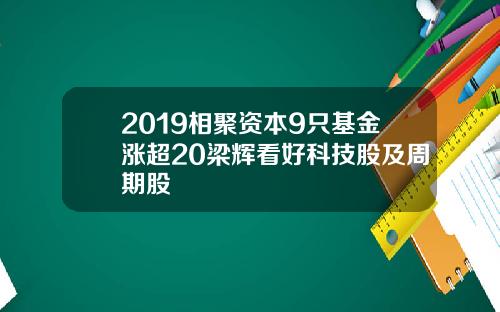 2019相聚资本9只基金涨超20梁辉看好科技股及周期股