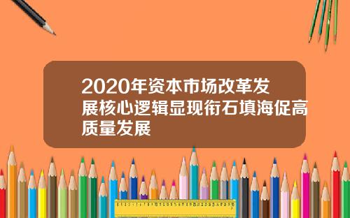 2020年资本市场改革发展核心逻辑显现衔石填海促高质量发展