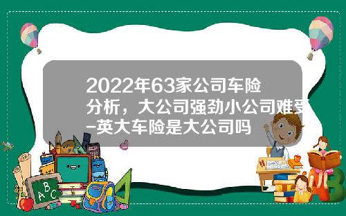 2022年63家公司车险分析，大公司强劲小公司难受-英大车险是大公司吗