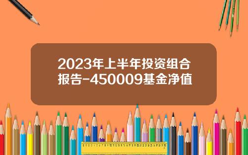 2023年上半年投资组合报告-450009基金净值
