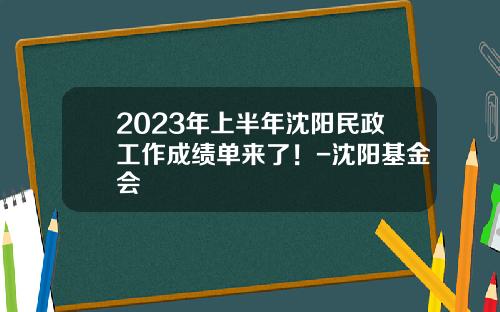 2023年上半年沈阳民政工作成绩单来了！-沈阳基金会