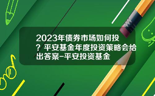 2023年债券市场如何投？平安基金年度投资策略会给出答案-平安投资基金